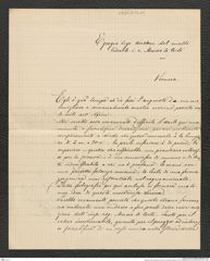 Nachlass Franz Steindachner, Brief von Teodore Zorzopulo an Franz Steindachner (15.09.1882), Inv.Nr. 613.01, Seite 1
